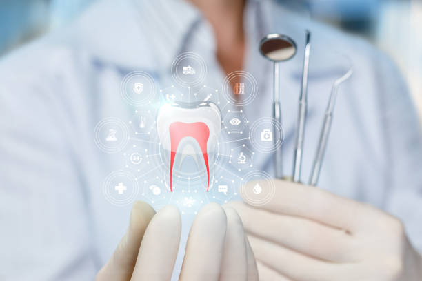  Santa Fe, TX Holistic Dental Services Pros